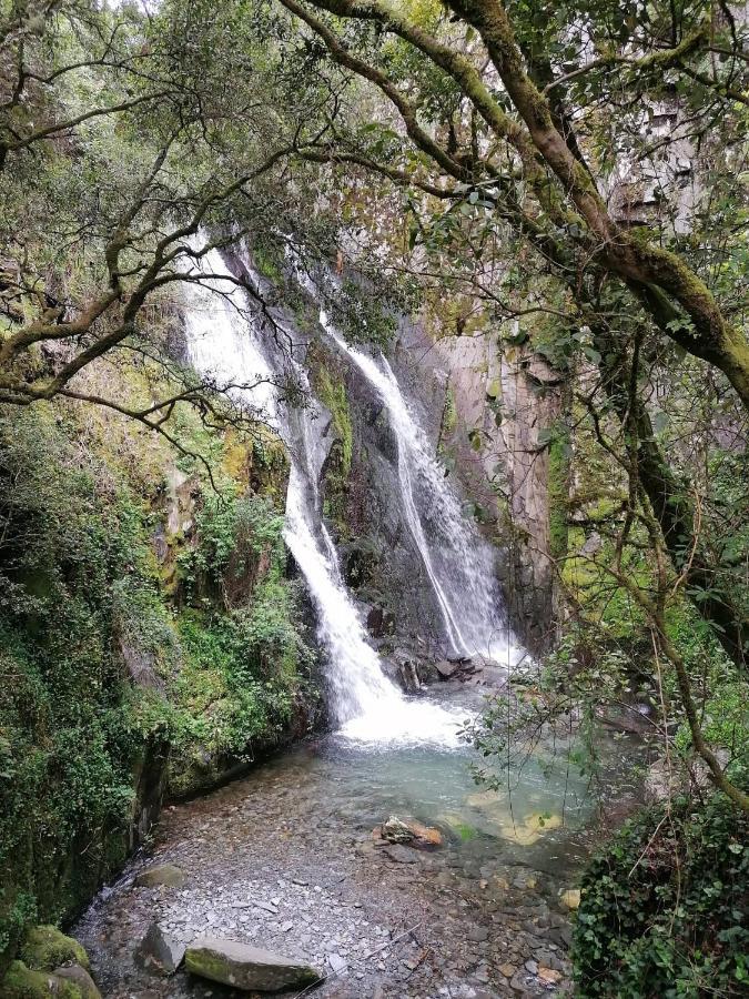 Vivenda A Nossa Coroa Villa Coja Екстериор снимка